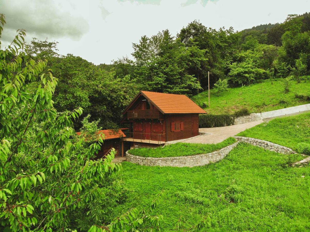 Lazec Country House Villa Pluznje Екстериор снимка